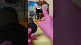 #ASMR | MAD DOG, who stole the OREO COOKIE from the COOKIE JAR? | #shorts | ...|vlog #603|