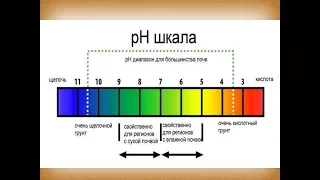 pH Почвы. Закислять нельзя ощелачивать