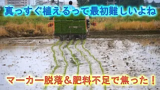 パラダイスエリア田植えだけどなんとマーカー脱落・肥料計算間違えて危うく田植え中止でした・2024