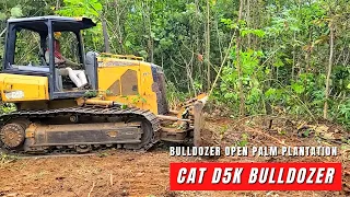 Amazing Operator Skills CAT D5K Dozer Widening and Clearing The Bushes