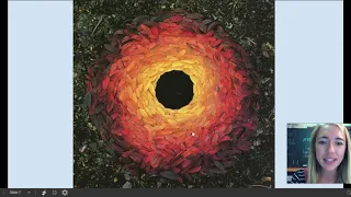 Andy Goldsworthy