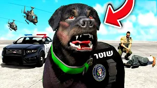 צ'ופ מצטרף למשטרה בGTA V! (הכלב של פרנקלין הופך לכלב משטרתי בג'יטיאיי!)