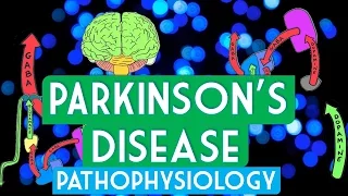 Parkinson's Disease: How is the brain affected?