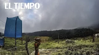 El atrapaniebla que calma la sed | EL TIEMPO