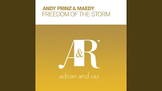 Freedom of The Storm (Radio Edit)