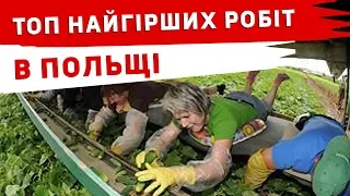 ТОП НАЙГІРШИХ РОБІТ В ПОЛЬЩІ.