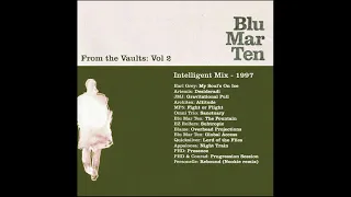 Blu Mar Ten - From the Vaults Vol. 2 - Intelligent Mix '97