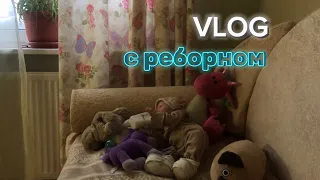 VLOG с реборном Кристофером