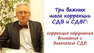 Три важных шага коррекции СДВ и СДВГ: коррекция нарушения внимания с диагнозом СДВ