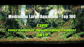 2019 CIPS International Aquascaping Contest (CIAC). Top 100 Winners (Medium to Large Category)