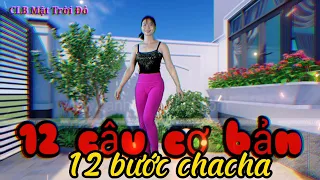 Hướng dẫn chacha cơ bản/bài 2/rất chi tiết dễ học