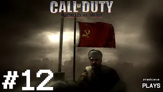 Call of Duty: World at War | Let's Play Part 12: Raising the Red Banner and the End