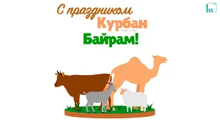 Нур Всевышнего. С праздником Курбан Байрам!