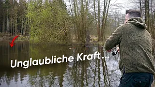 Waldsee angeln eskaliert. Ausnahmefisch auf Wurm.