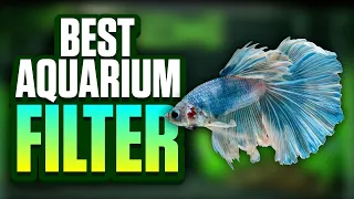 7 Aquarium Filters Compared To Find The Best Option For Your Tank! (Sponge, HOB, Canister, And More)