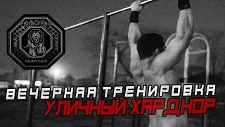 Вечерняя Тренировка На улице. Турник + Гиря[Pride Team]