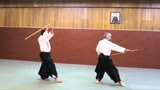 Aikido: Bruno GONZALEZ and Pascal GUILLEMIN