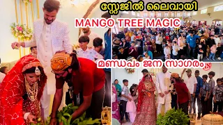 സ്റ്റേജിൽ ലൈവായി MANGO TREE MAGIC |മണ്ഡപം ജന സാഗരം |WEDDING |COUPPLE |LOVE