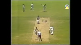 What's your decision? Steve Waugh can't believe this LBW against Richie Richardson was turned down