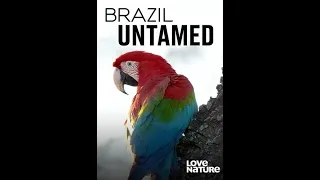 Дикая Бразилия / Brazil Untamed / Серия 8 Саванна нанду 4К