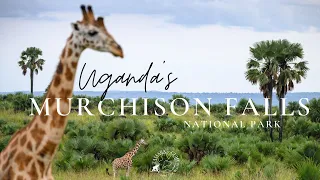 Murchison Falls National Park, one of the most visited parks in Uganda!