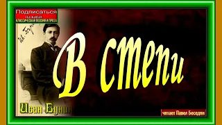 В степи, Иван  Бунин ,Русская Поэзия, читает Павел Беседин