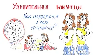 Удивительные Близнецы. Как появляются и чем отличаются?