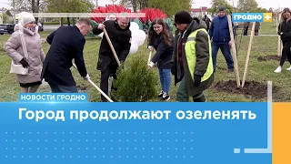 К 100-летию торговли высадили 110 деревьев около площади Декабристов