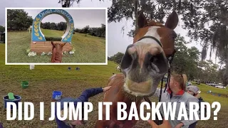 Helmet Cam: Sharp Decision (CCI 2 Star - L | 2019 Ocala Jockey Club Int’l HT)