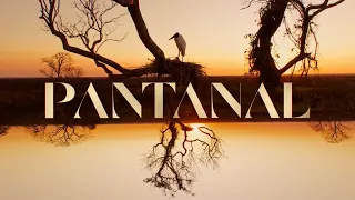 Pantanal: a abertura da nova novela das 21h! 🐆 | TV Globo