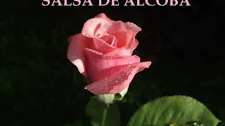 SALSA DE ALCOBA  ROMANTICA (GRANDES EXITOS)2020