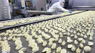 Amazing dumpling mass production process at the dumpling factory