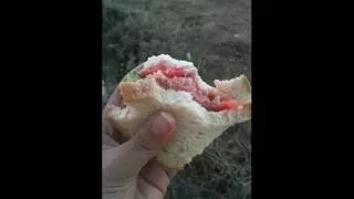 World's Best Sandwich! Typical Greek Cypriot picnic in Cyprus.