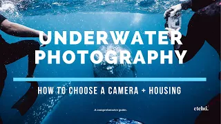 HOW to CHOOSE an Underwater Camera and Housing | A Step-by-step guide