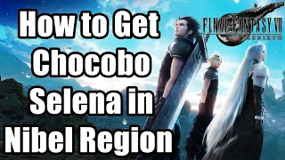 How to get Chocobo Selena in Nibel Region (Catch Selena) Final Fantasy VII Rebirth