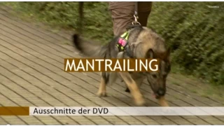 Mantrailing 1  - Vom 1. Trail bis zur beginnenden Kreuzungsarbeit