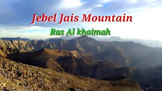 Jebel Jais Mountain Ras al Khaimah/Jebel Jais Road Trip/Highest Mountain in UAE 🇦🇪