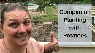 Companion Planting with Potatoes and What NOT to Plant with Potatoes