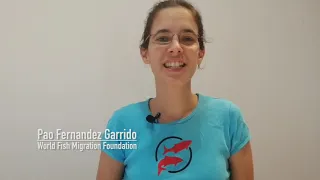 Dambusters - WFMF: (Os caçadores de barragens)-  Pao Fernandez Garrido