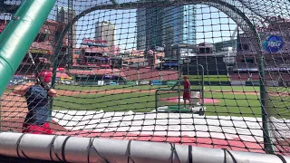 Fan taking batting practice at Busch Stadium