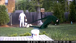 Squirrel Catapult