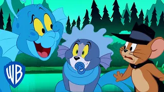 Tom & Jerry in italiano | Il nuovo amico di Tom | WB Kids