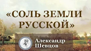 "Соль земли русской"  Александр Шевцов