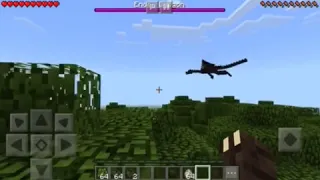 How to get a pet ender dragon