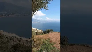 💙💛Луковицы неизвестных цветов на Аланийской крепости. Конечно я взяла себе одну 🤣