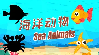 【8种海洋动物】| 8 Sea Animal’s names in Chinese | #学中文 | 中文加油站2022