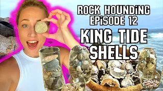 Rockhound Adventures Episode 12: King Tide Shelling