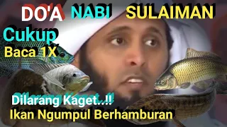 DOA MANCING//DOA UNTUK MANCING// DOA NABI SULAIMAN-jangan coba-coba