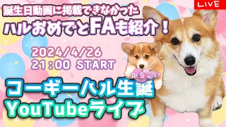 【4/26LIVE】ハル生誕祭ライブ☆掲載しきれなかったハルFAもご紹介！