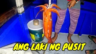 EP30 P14 Ang lalaki ng mga pusit